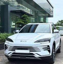 𝐁𝐘𝐃 𝐒𝐄𝐀𝐋𝐈𝐎𝐍 𝟔