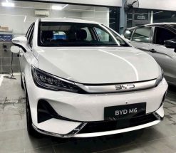 BYD M6